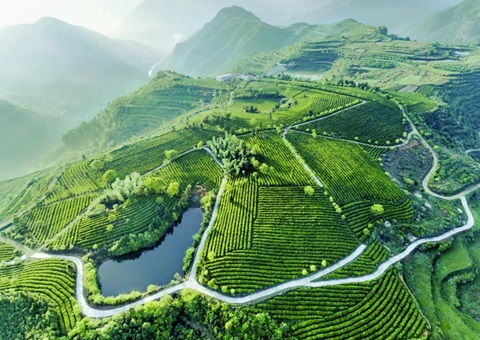 ���Ͷ��Լ15��Ԫ �ɶ�����Ȧ�����ص��ƽ�9����̬������Ŀ