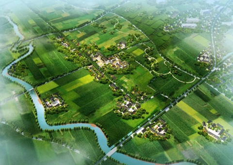 �ذ����Ĵ�20���������ռ����������ʡ��������