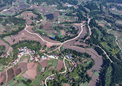 �ڽ��ж���������ȫ���ø��ر��� ȫ�������õذ���