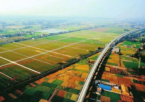 �Ĵ���ȫ�����ﳤ��������Ч������