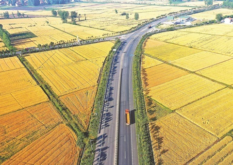 ��������ʮ�������Ч��ͻ���أ��С�����