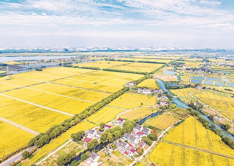 ����ʡ��ȫʵ���õ����ֺϲ�����