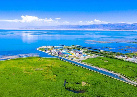 �½�ӡ������̬��ƷĿ¼��2025��棩��