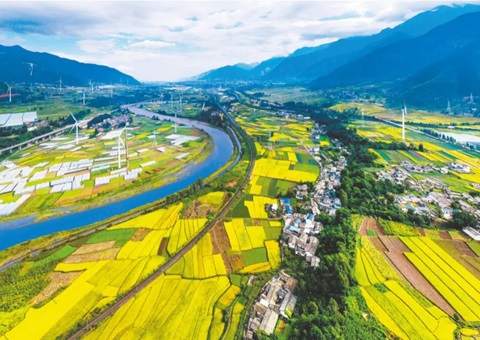 �Ĵ��״�ȫ�������ۺ����ο��б�������ģʽ