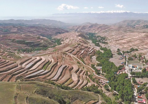 �ຣʡ��̨��������Ϣ�����������ֲ�����׼&nbsp;&nbsp;������ҵ�ϵ����ϸ�廯�淶���½׶�