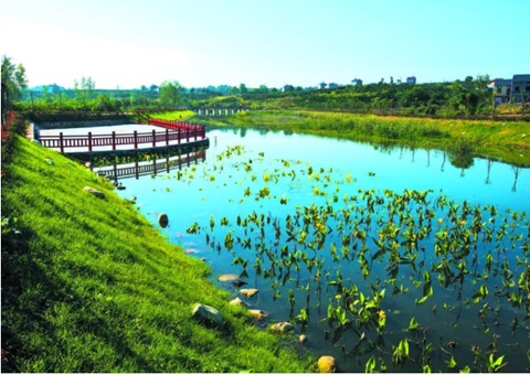 �����ƶ�ˮ��̬��Ʒ��ֵת�����&nbsp;&nbsp;�������20�������֡���4��&nbsp;&nbsp;�в�����