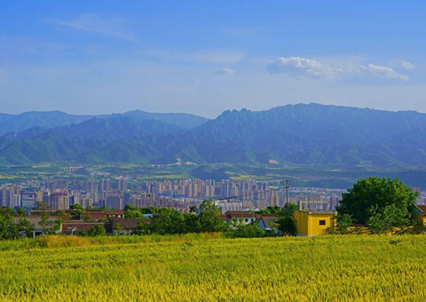 �������ύ��������ũ�ﴢ����Ч��