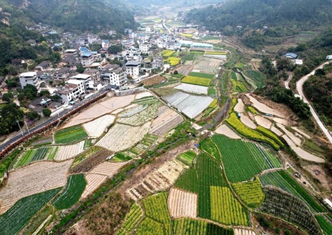 �����ûĵص���ҵ����������3������Ŀ���Ƴɽ�