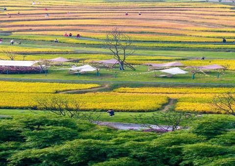 �Ĵ�ʡ�ɶ�����Ȫ�����֡����������鷨�����������غ�ʵЧ��