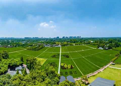 �Ĵ�ʡ�ɶ����½��������ۺ��ϵ��ʻ��Ϊ�� &nbsp;&nbsp;��ȫ��������������Ч��