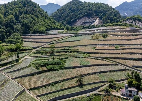 �����ʡ�ˢ�¼�����ġ���Դ  &nbsp;&nbsp;��������ۏ����̬��ֵת����·��