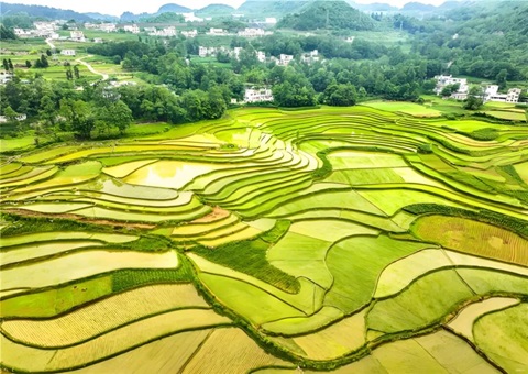 ����ʡ�׷����ع�Ӧ������Լ�ֳ�ǩ��