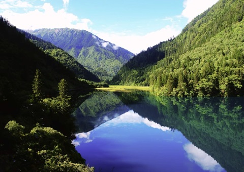 Ԥ��2025������Ĵ�ʡ������������1500��֡���ֵ1800��Ԫ