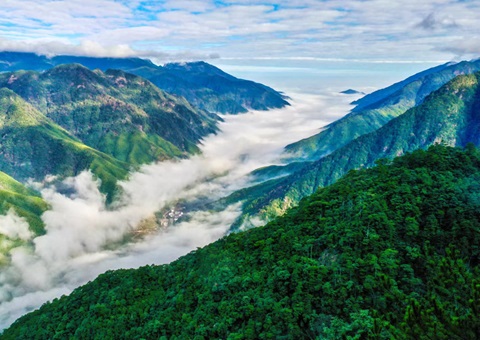 ����ϰ�������ͨ��̬��Ʒ��ֵת��