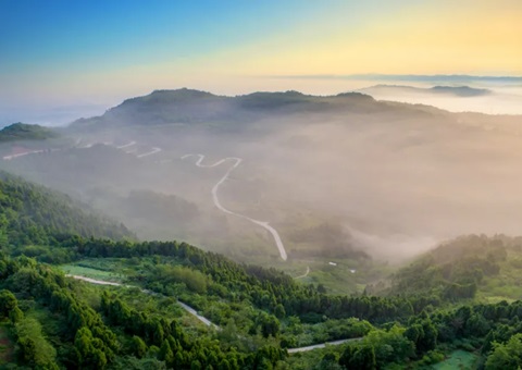 �й���ɫʱ�����ɶ�̽�����󶼻���̬��ֵʵ��·��