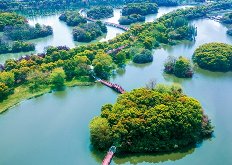 ����ʡʪ�ر������Ѵ�61.99%