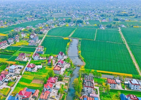 ��ͨ�оֽ��衰������ơ�ȫ���������������õ�����