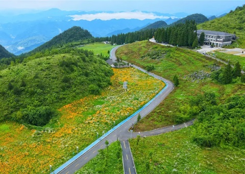 ������������������������1.8�ڣ�