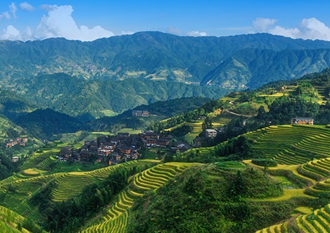 ����200��Ԫ������ʵ����Ȩ�ҺŲ����ʽ���