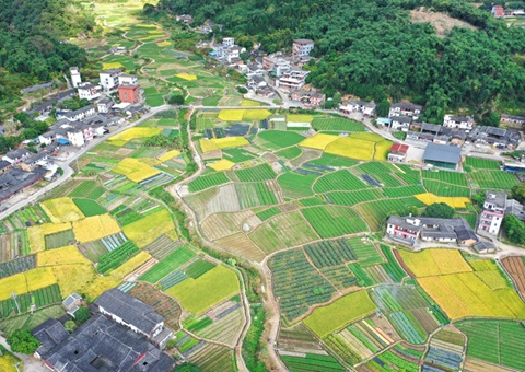 94��ǧ��Ķ�õ����� ����Ͷ�ʳ�28��Ԫ Ȫ�ݡ��������С��Ե�����ȡ�ý׶���Ч��