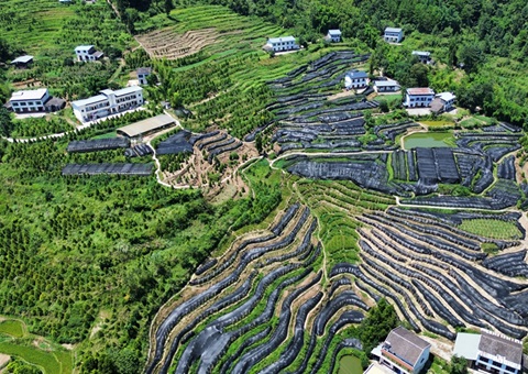 �����׸���ҵ��̬��Ʒ��ֵ����Ч��Ӧ�����