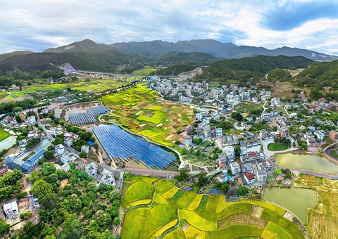 �㶫ʡ2025������11��ȫ�������ۺ�����ʵ��ƻ���ʡ������