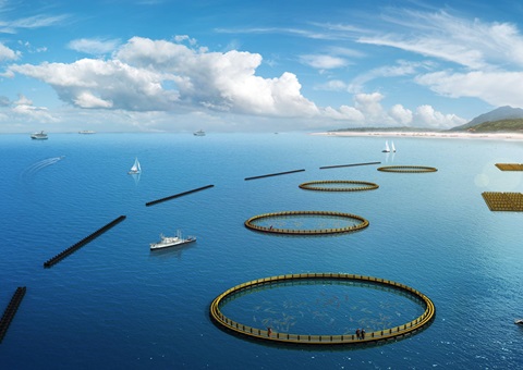 �㶫��������׳���ִ�����ҵ