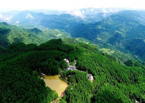 �Ĵ������������ܡ��츮ɭ���Ŀ⡱����