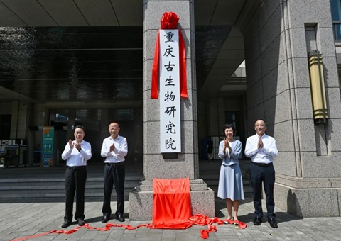 ����������о�Ժ���ƽ��� ϵ�����׸�ʡ���������о�Ժ