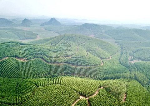 �������조���һ�������ƽ��õ����ֲ������� ����Ч������40%