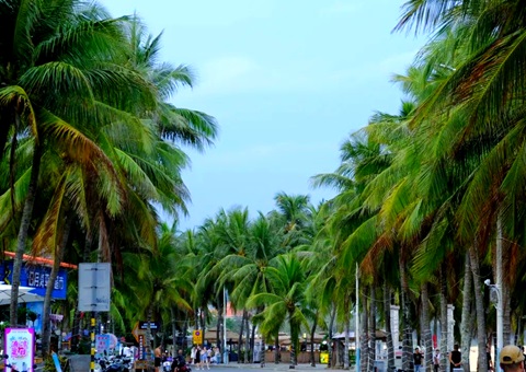 �����������ᡱ�������кΡ�������?