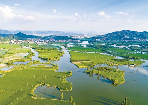 �㽭��������ɹ��׸����ҹ�԰�ʲ�����Ե��ȫʡ�����õ�ʹ��Ȩ״̬�����