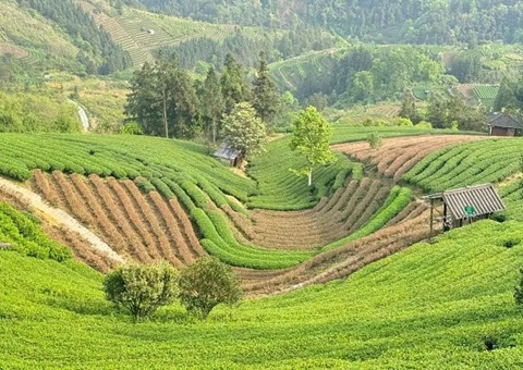 �����������º��������롰�����塱 ̽���������䡰��������