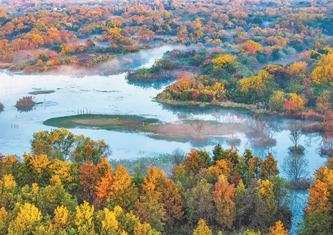 �㽭���ݴ������ʪ�ض�����