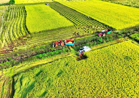 �����ƽ��߱�׼ũ�ｨ�輰�ڶ������سа������������Ե�����