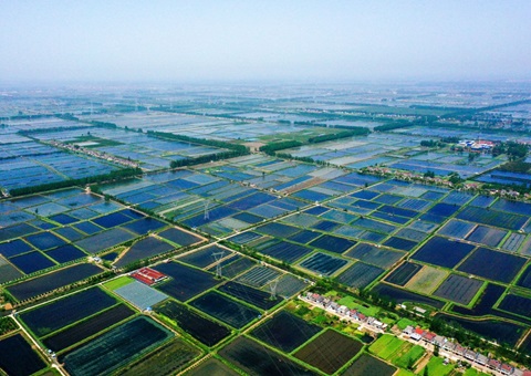 ����Ǳ���淶��Ȩ����&nbsp;&nbsp;̲�����۷�7��