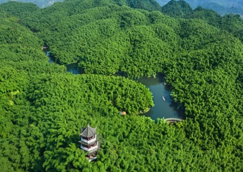 �Ĵ������ֲ�̼�ջ���ĿҪ��ѧ&nbsp;&nbsp;&nbsp;&nbsp;������̬��Ʒ��ֵ����