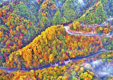 �Ž���̿�����֯ר�Ҷ԰��й���ɽ��ŵˮ�����µ��ʹ�԰��չ����������