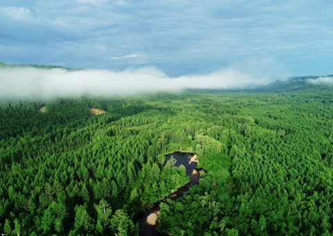 �����׸������˶�̼�к�ָ���������