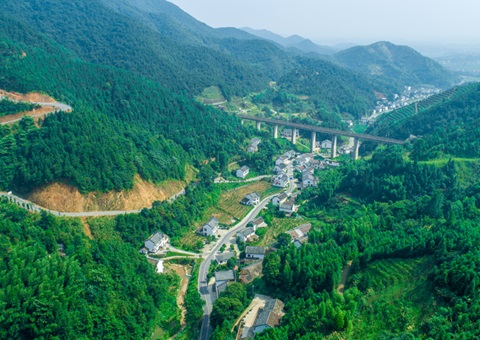 ���γ�500��Ķ��Ͷ��196�ڣ�����ʡ2025������22��ȫ�������ۺ�������Ŀ����