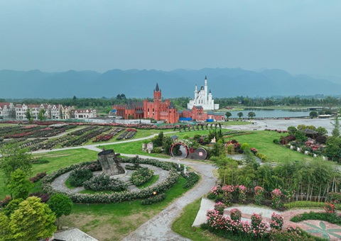 �Ĵ������޽�ȫ�����徲�ϵϵͳ������ɭ�����⡱��һ������