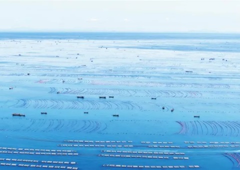 ������ȫ��麣����Դ�ʲ�ʵ��������ֵ����ʹ��Ȩ�������庣�󡰼ҵ׶���