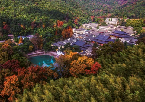 �㽭��ɭ�ֹ�԰��̬��������������������