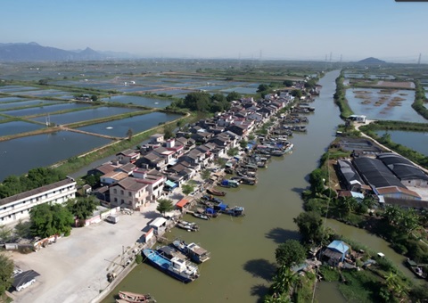 �㶫ʡ��Ȼ��Դ���ƶ���ս�Ų�����ʹ��ʩչ��ʷ�Ų��Ļ���ֵ