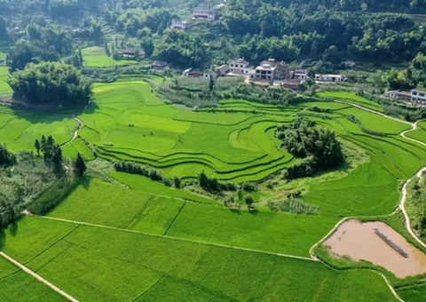 �Ĵ�ʡ�����׸�ȫ�������ۺ�����ʵ��ƻ�