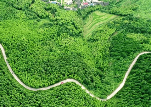 ���������õ������ò��ں��������辶ͼ��