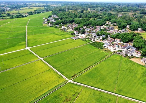 �Ĵ�������������ũ�����ϵϵͳ&nbsp;&nbsp;����ʵ��ͬ���Ҽ�ϵͳ�Խ���粿�����ݹ���